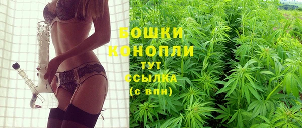 спайс Алексин